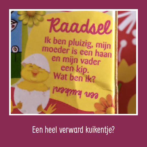 Taalvoutjes-memospel deluxe editie
