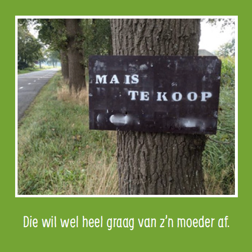 Taalvoutjes-memospel deluxe editie