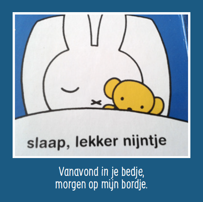 Taalvoutjes-memospel deluxe editie