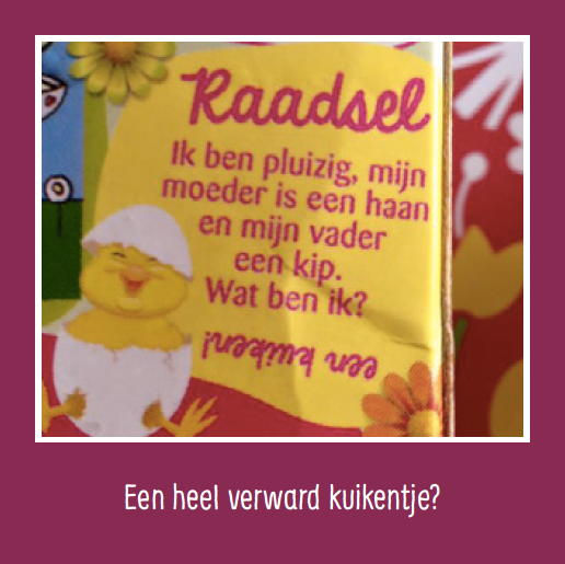 Spellenpakket met Taalvoutjes-kwartet én -memospel