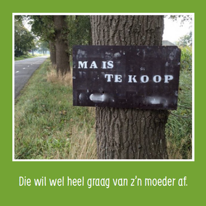 Spellenpakket met Taalvoutjes-kwartet én -memospel